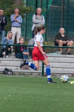 Bild 96 - C-Juniorinnen HSV - Walddoerfer : Ergebnis: 9:1